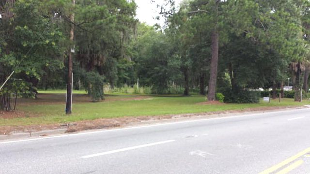 2nd image of 15 Pamalee Ln