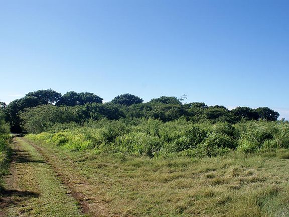 Northeast Corner of Property