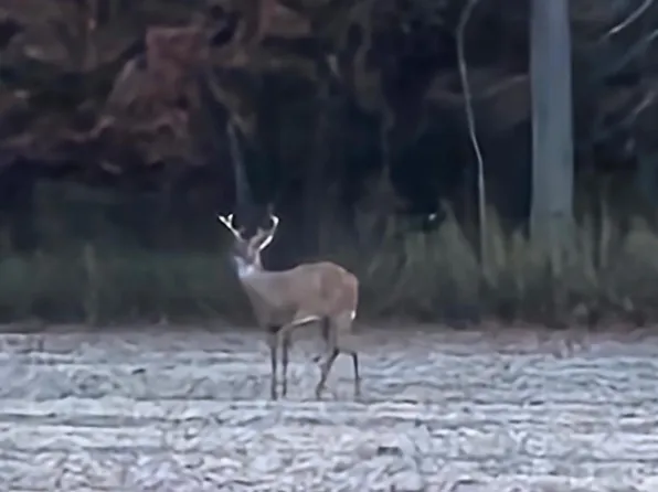 0 Section Line Rd, New London, OH 44851