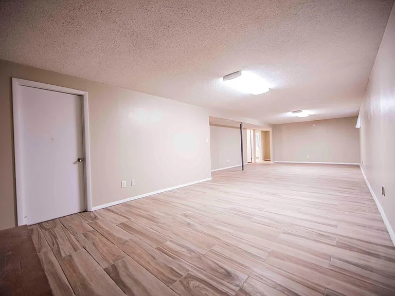 Basement Entertainment Room