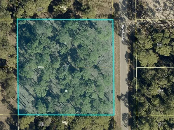 1911 McArthur Ave, Lehigh Acres, FL 33972