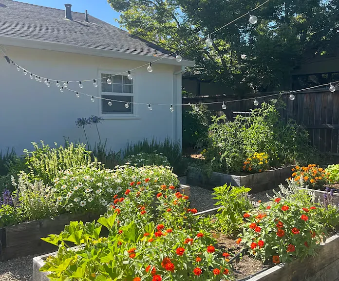 902 Harold Ln — Photo 22