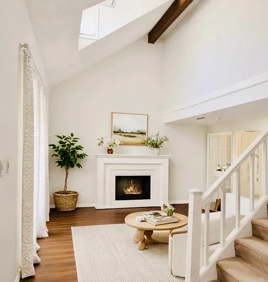 Living Room/Family Room