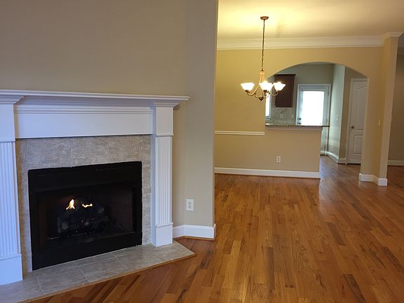 Living Room Fireplace