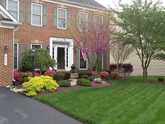 Professional Landscape