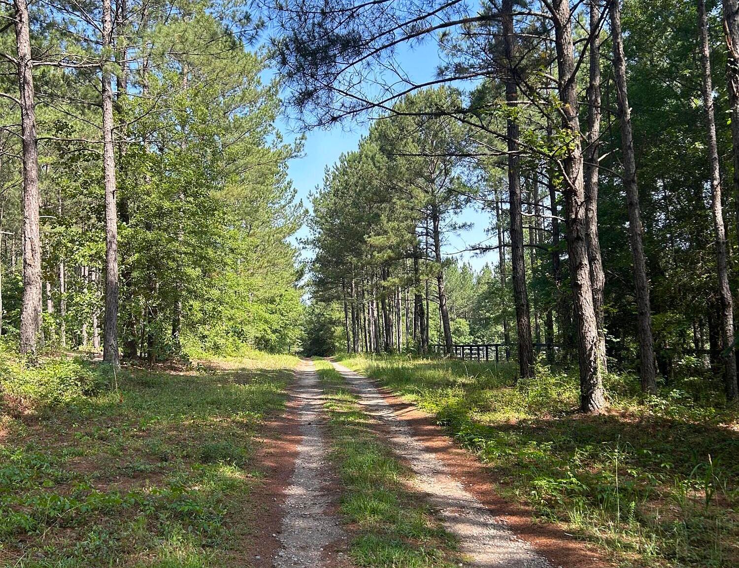 0 Shiloh Church Rd, Aiken, SC 29801 MLS 212002 Zillow