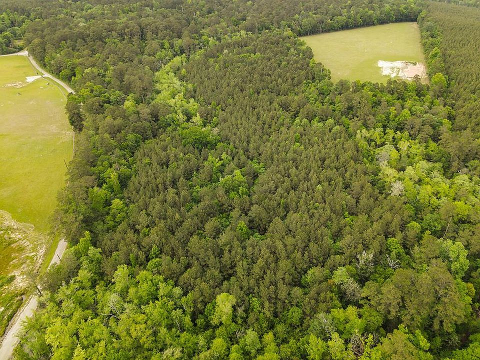 1st image of Pid 17056 County Rd #451