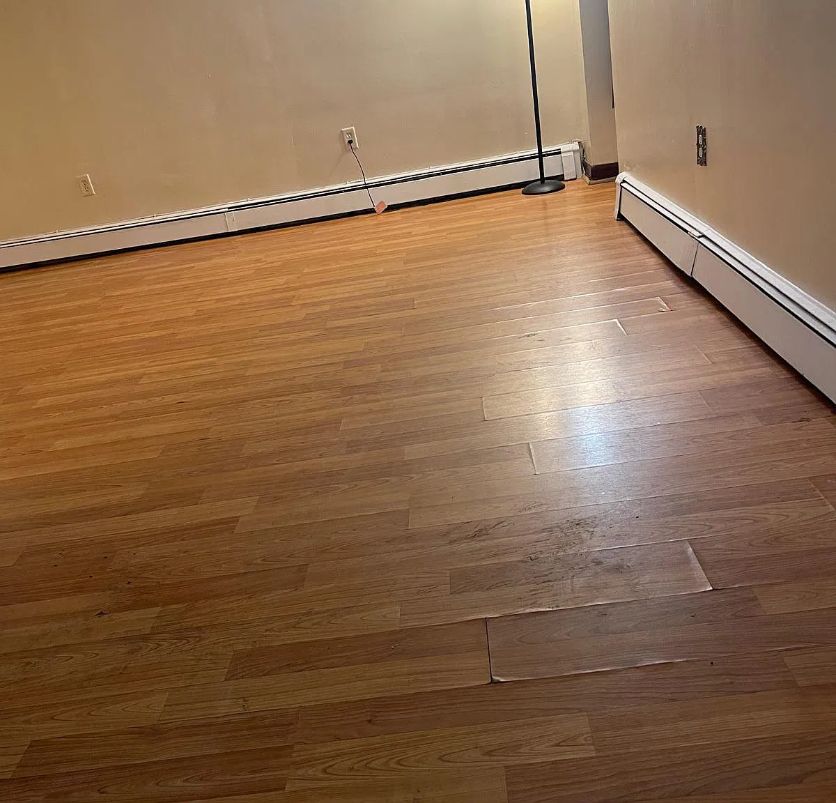 1 bed, $1,900 — Photo 4