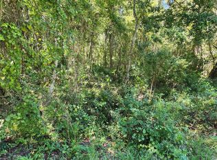 Ridgeline Ave, Satsuma, FL 32189