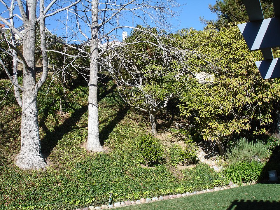 1st image of 6033 Bridgeview Dr
