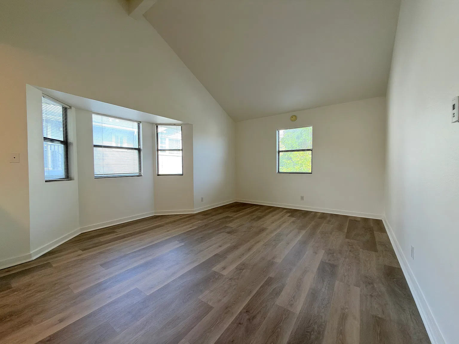 1511 Bath St — Photo 2