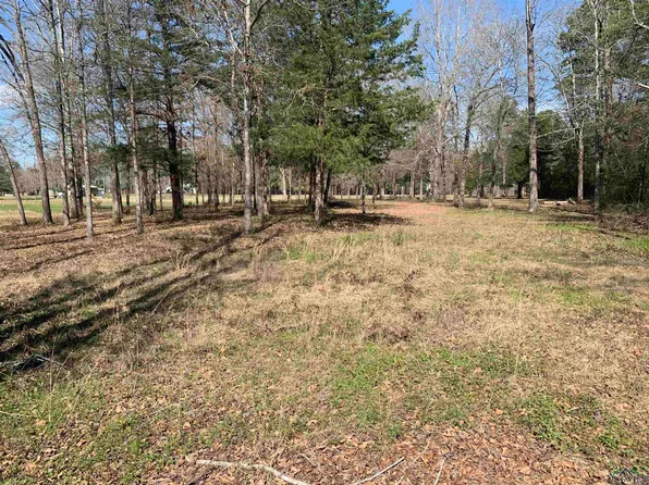 County Road 245, Beckville, TX 75631