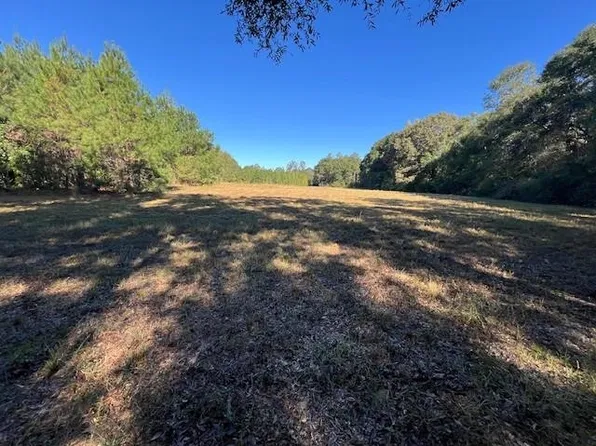 29 Ac Hwy #55, Red Level, AL 36474
