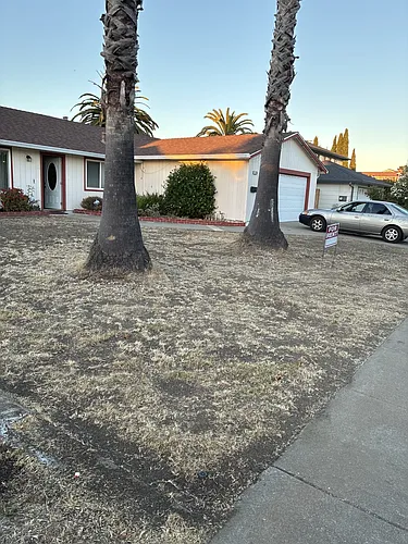 37788 Dahlia Dr Photo 1
