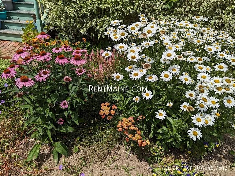 54 Penobscot St #1 — Photo 31