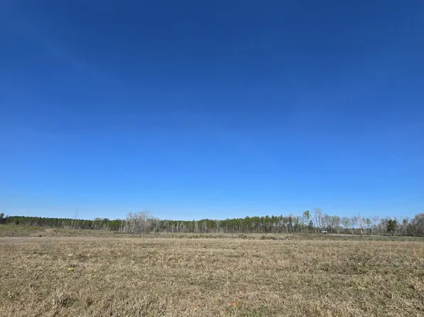 0 Coal Bluff Rd Lot 5, Lena, MS 39094