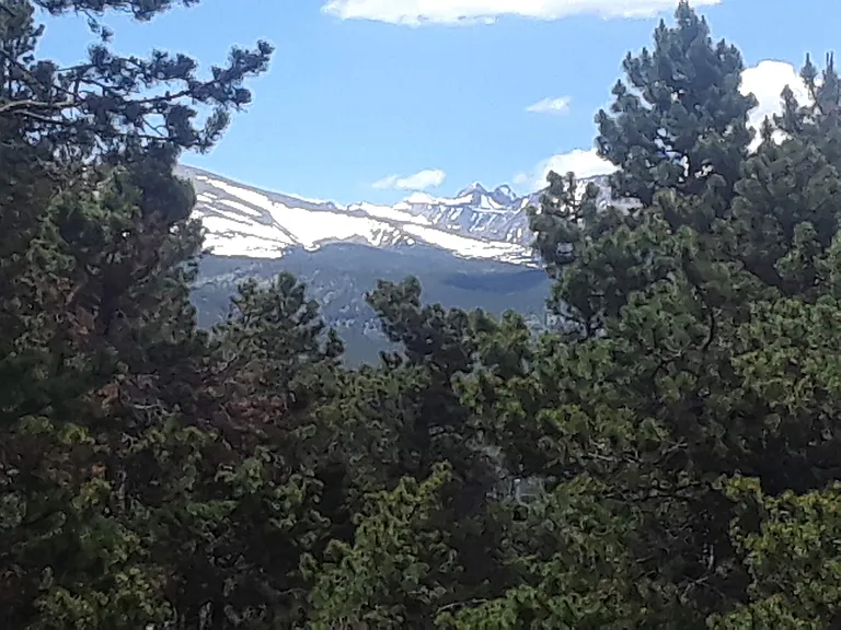 View from the deck