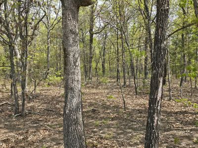 Tract B Glory Lane, Lebanon, MO, 65536