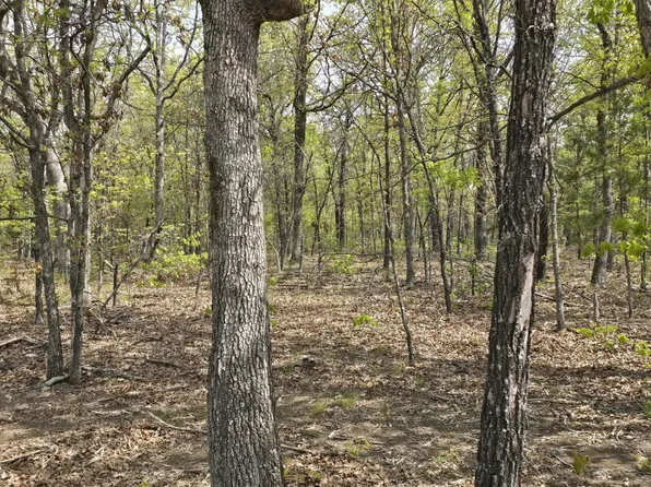 Tract B Glory Lane, Lebanon, MO 65536