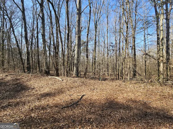LOT 4 Manning Gin Rd, Winder, GA 30680