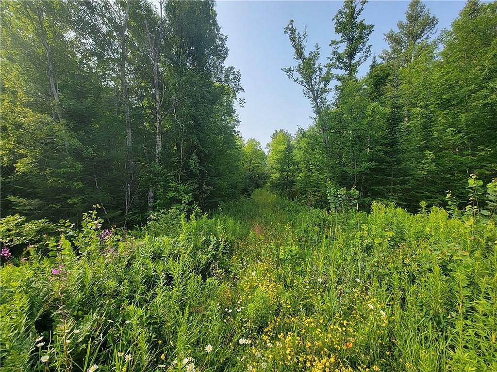 158.86 acres Hwy W, Winter, WI 54896 Zillow