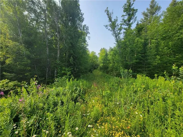 158.86 acres Hwy W, Winter, WI 54896