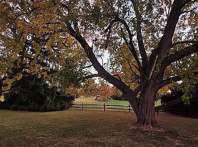 Another Beautiful Fall Day!