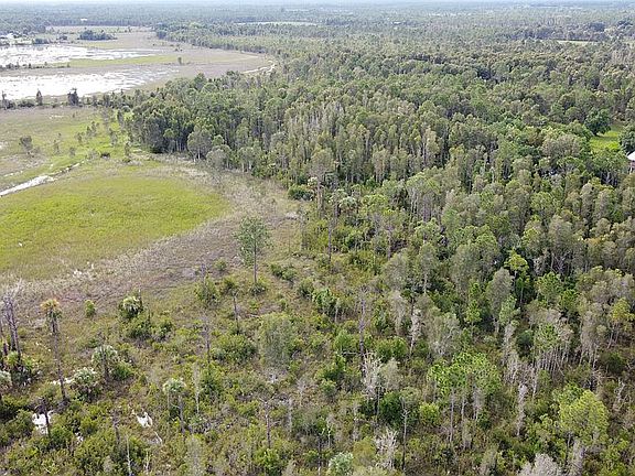 Amazing Recreation Choices!