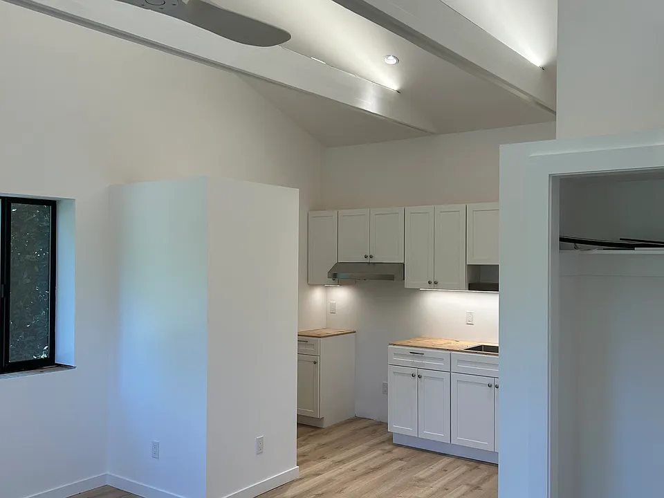 Closet (doors coming) + kitchen + main room
