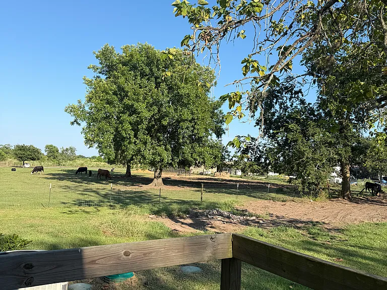 Haley Rd — Photo 16