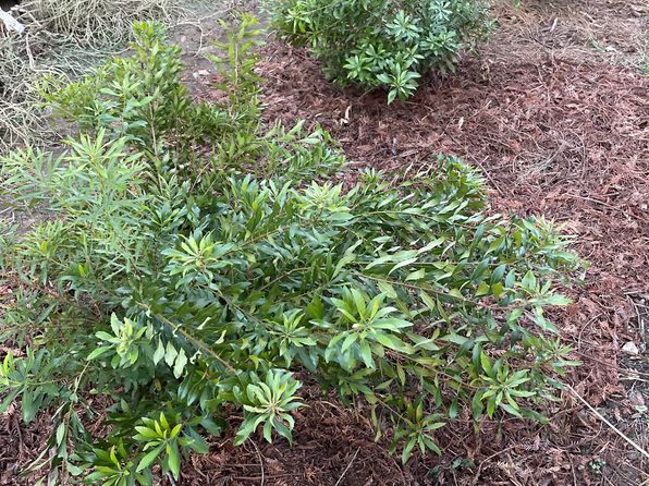 (undisclosed Address)