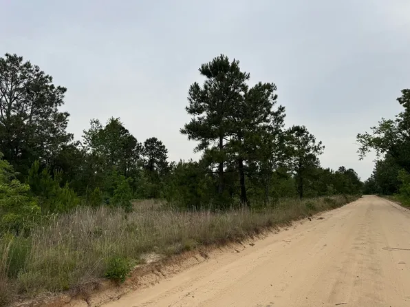 0 Baughmanville Rd, Wagener, SC 29164