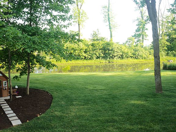 Beautiful Pond View