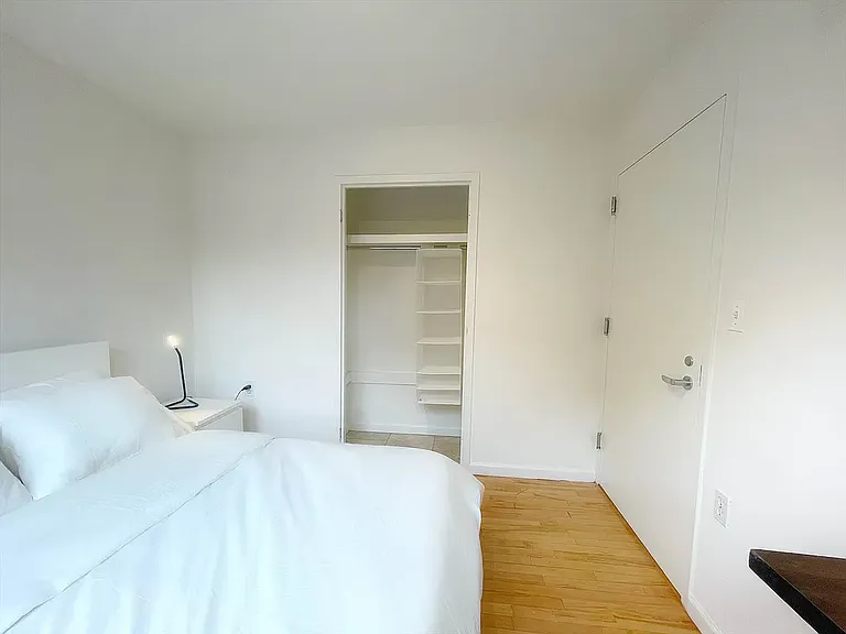 49 Ludlow St #5B — Photo 9