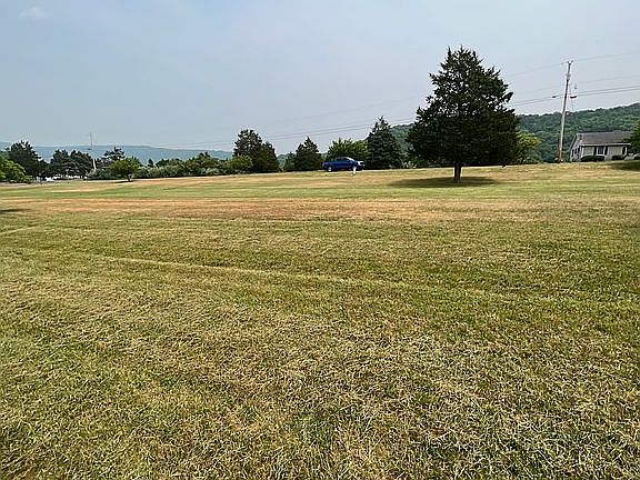 3rd image of Magnolia Pl