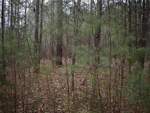 5th image of 257 Piney Grove Church Rd Lot 2