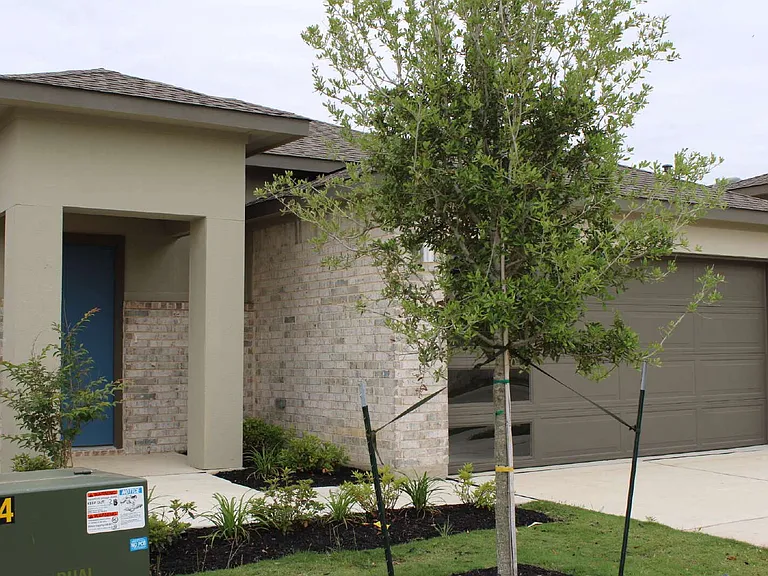 927 Lady Bird Ln — Photo 2