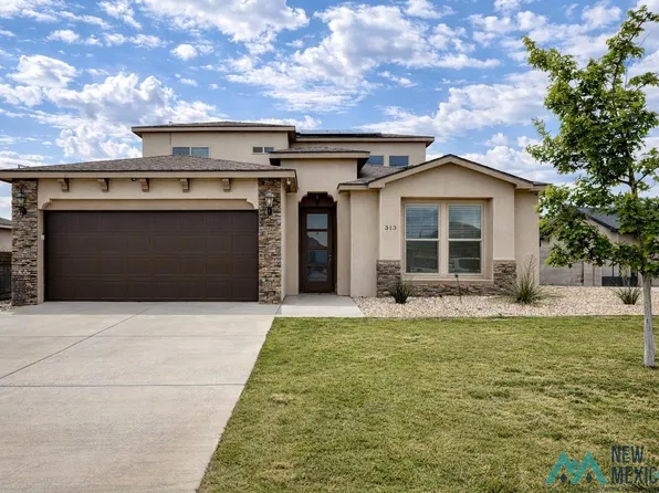 313 Baler Ln, Carlsbad, NM 88220