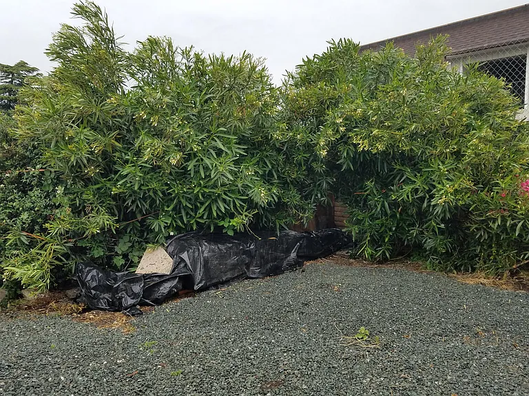 22368 S Garden Ave — Photo 19