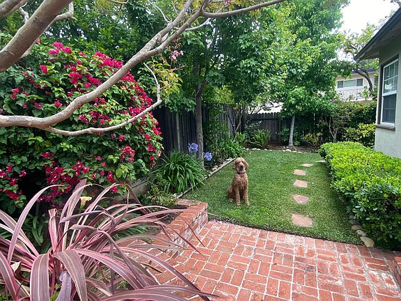 Private garden with direct access to two bedrooms