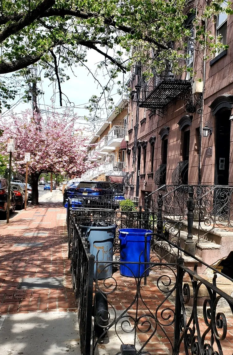 Park Ave, Hoboken — Photo 1
