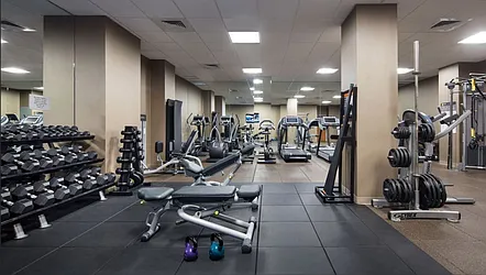 Rented by Bold New York