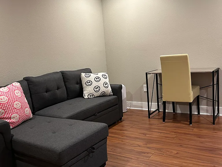 Downstairs/bottom level game room with TV, sofa bed, study table and chair