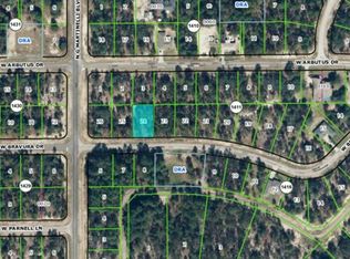 2705 W Bravura Dr, Citrus Springs, FL 34433