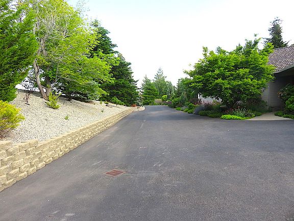 Drive way entry - full bloom