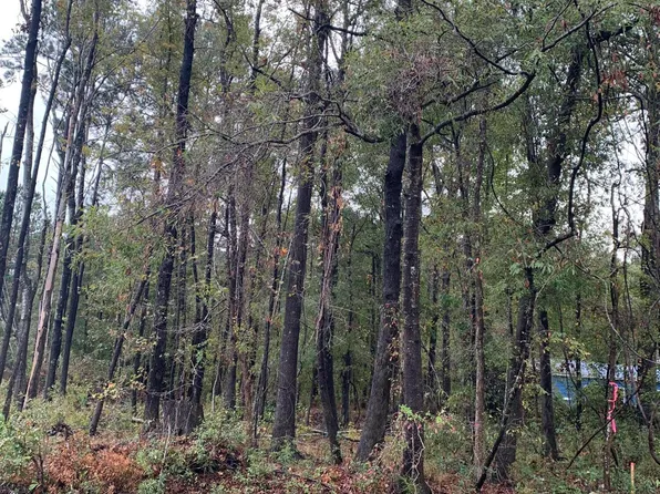 0 Tuskegee Dr Lot 68, North Charleston, SC 29418