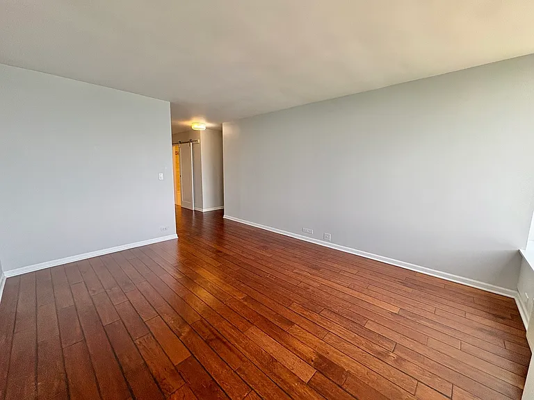 155 N Harbor Dr #2411 — Photo 16