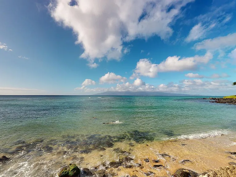 3901 Lower Honoapiilani Rd — Photo 22
