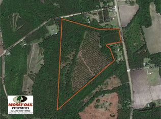 10243 Lowcountry Hwy, Ruffin, SC 29475