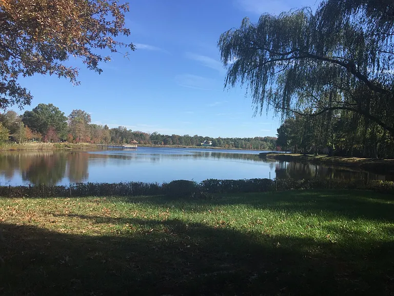 Your Late Summer View of the Lake